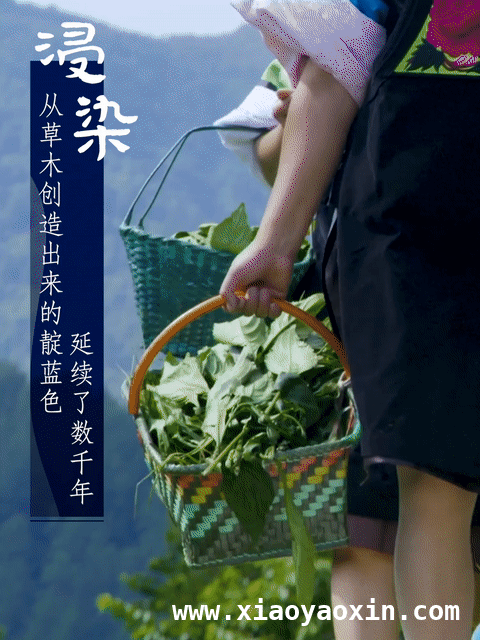 贵州蜡染：从古老技艺到乡村振兴的新力量，探秘贵州蜡染：千年蓝白间的文化传奇