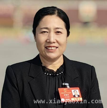 李素环：期望法院在审判各环节做实实质解纷工作 人大代表李素环：呼吁法院完善多元解纷机制服务群众