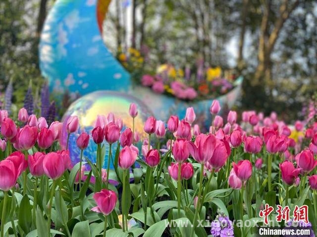 浙江乡村旅游新举措，绘就春日乡村盛景
