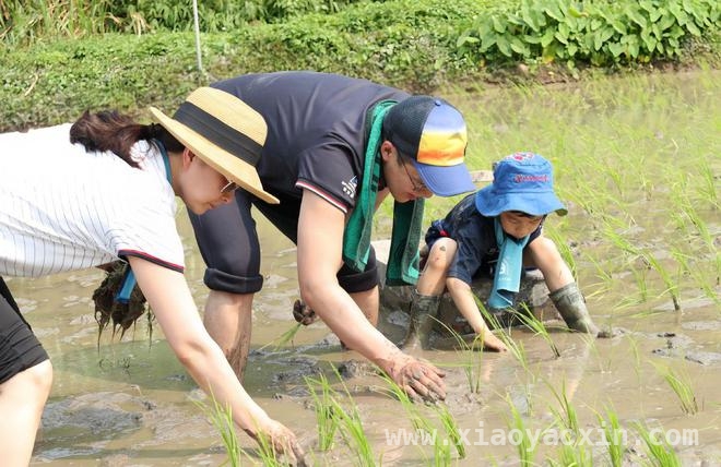 郭晶晶助力霍家：从传统豪门到时代先锋
