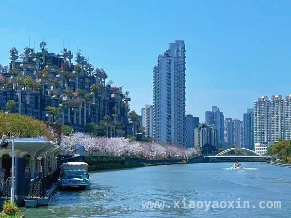 魔都春日惊喜！苏州河“千树樱花季专列”浪漫来袭，樱花盛开，苏州河“千树樱花季专列”带你邂逅魔都浪漫春天