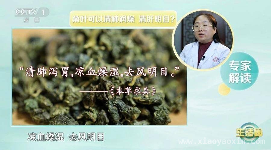 春季养生新选择：桑葚桑叶的奇妙作用 春天吃桑葚桑叶，这些好处你知道吗？