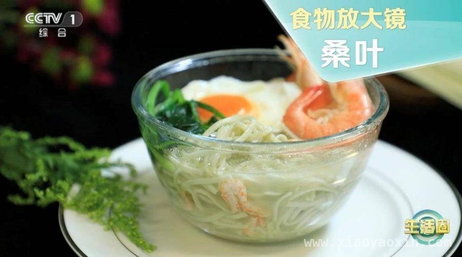 春季养生新选择：桑葚桑叶的奇妙作用 春天吃桑葚桑叶，这些好处你知道吗？