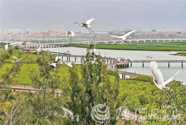 厦门市大思政课新动作：特聘教师、研学路线与实践基地齐登场