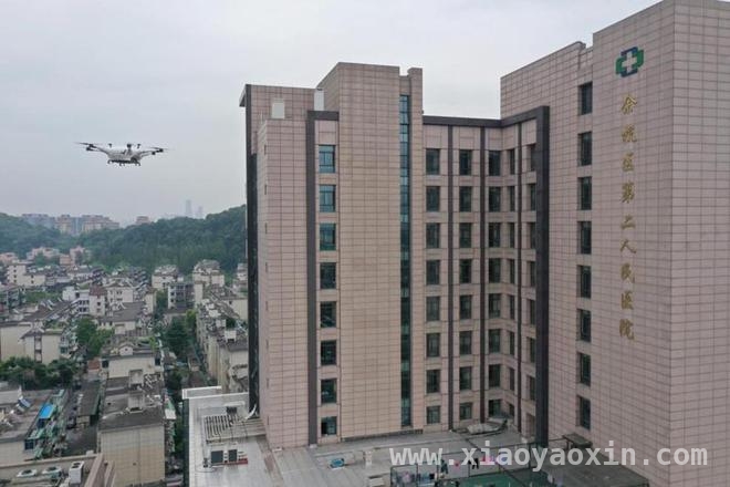 探秘迅蚁无人机：外卖与医疗配送的革新力量，科技先锋：迅蚁无人机改写外卖与医疗配送格局