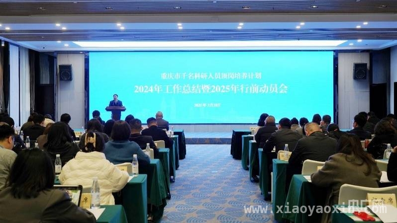 重庆科研人员顶岗培养计划：2024总结与2025新征程开启，重庆2025科研骨干选派启动，顶岗培养计划添新篇