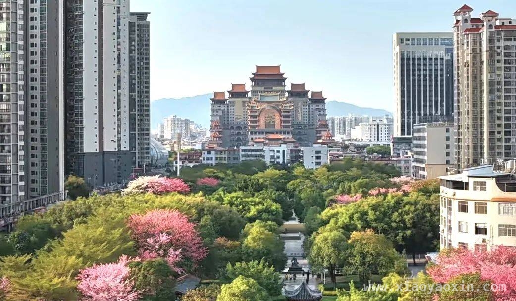 跟着高铁游桂东南，春日繁花等你赏，搭乘南珠高铁南玉段，开启春日桂东南浪漫之行