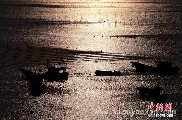 探秘霞浦：海洋牧场与旅游胜地的融合传奇，霞浦：从千鲜之城到旅游明珠的华丽蜕变