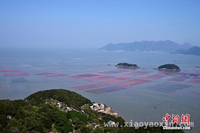 探秘霞浦：海洋牧场与旅游胜地的融合传奇，霞浦：从千鲜之城到旅游明珠的华丽蜕变