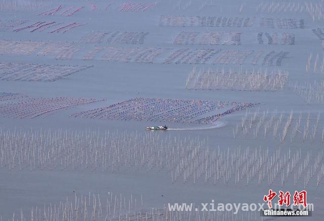 探秘霞浦：海洋牧场与旅游胜地的融合传奇，霞浦：从千鲜之城到旅游明珠的华丽蜕变