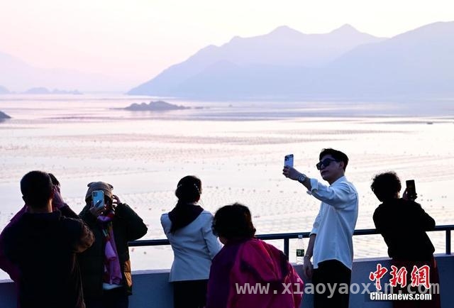 探秘霞浦：海洋牧场与旅游胜地的融合传奇，霞浦：从千鲜之城到旅游明珠的华丽蜕变