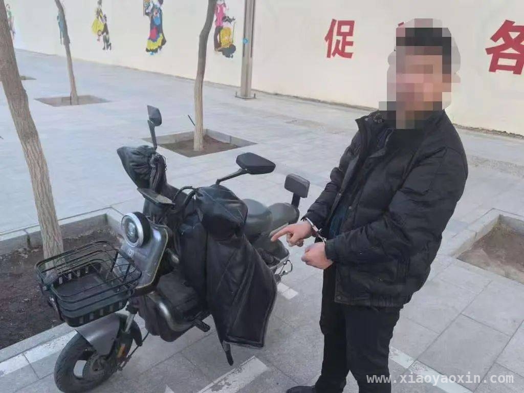 金川警方智破电动车盗窃案，嫌疑人被成功拘押 新华路派出所破获盗窃案，历经艰辛终擒惯犯