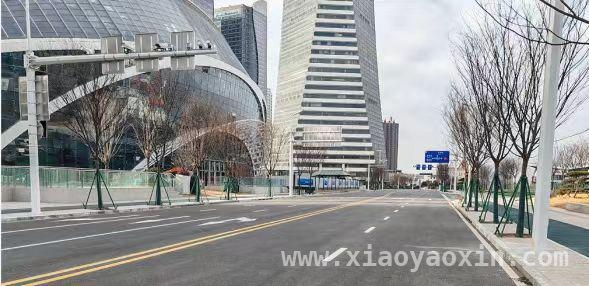 创新设计，青岛国际邮轮港区市政道路打造城市新风貌，青岛国际邮轮港区启动区道路通车，开启城市发展新篇