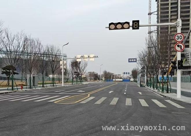 创新设计，青岛国际邮轮港区市政道路打造城市新风貌，青岛国际邮轮港区启动区道路通车，开启城市发展新篇