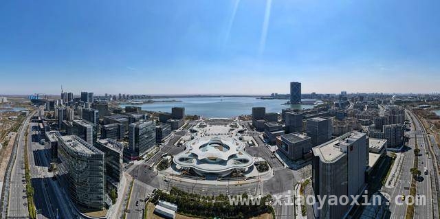 惊艳！临港新片区滴水湖公交枢纽改造升级华丽登场