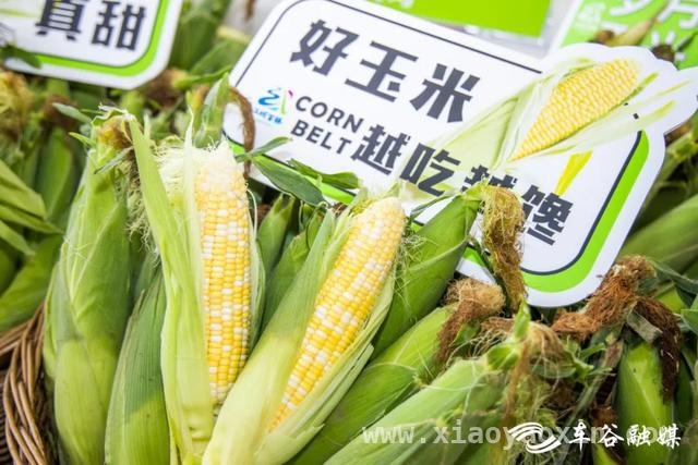 汉南甜玉米商标保卫战：捍卫地域标志，促进地方经济