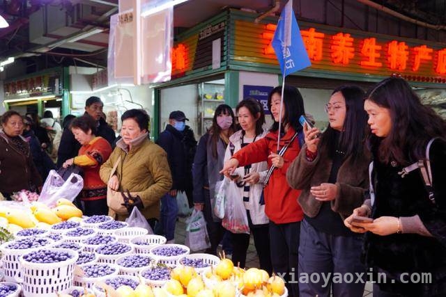 昆明五里多农博广场：让“云南生活”走向世界，马来西亚游客打卡昆明野菜市场，开启云南生活新体验