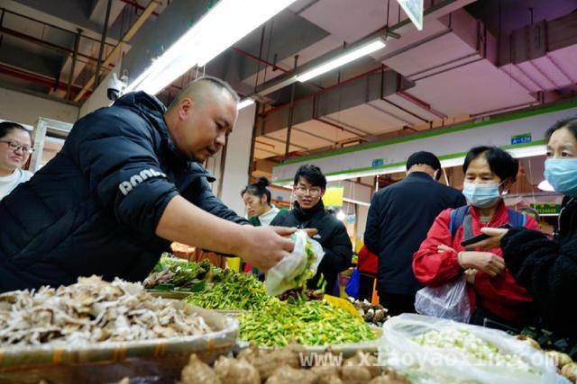 昆明五里多农博广场：让“云南生活”走向世界，马来西亚游客打卡昆明野菜市场，开启云南生活新体验