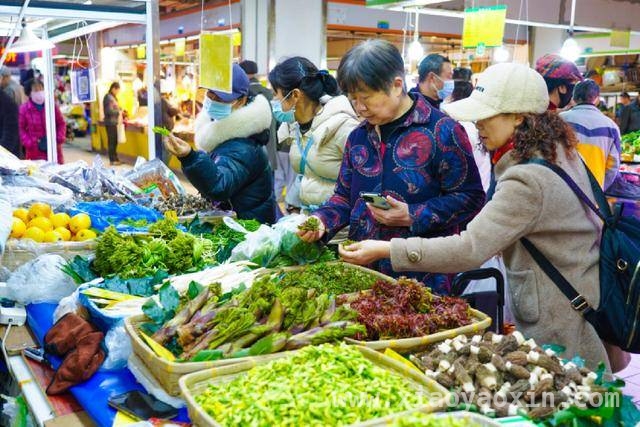 昆明五里多农博广场：让“云南生活”走向世界，马来西亚游客打卡昆明野菜市场，开启云南生活新体验