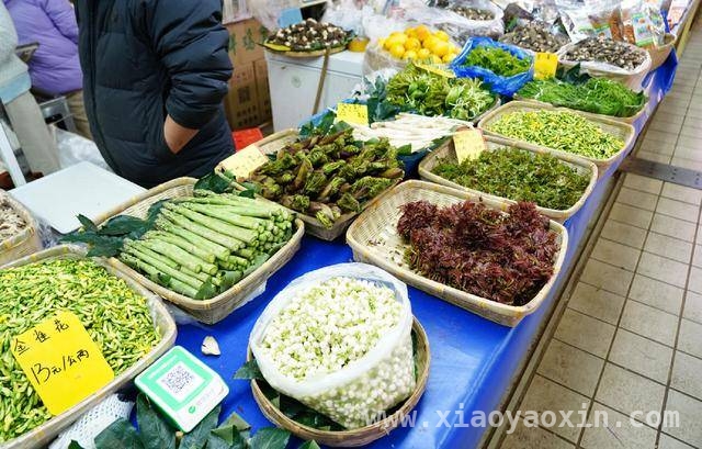 昆明五里多农博广场：让“云南生活”走向世界，马来西亚游客打卡昆明野菜市场，开启云南生活新体验