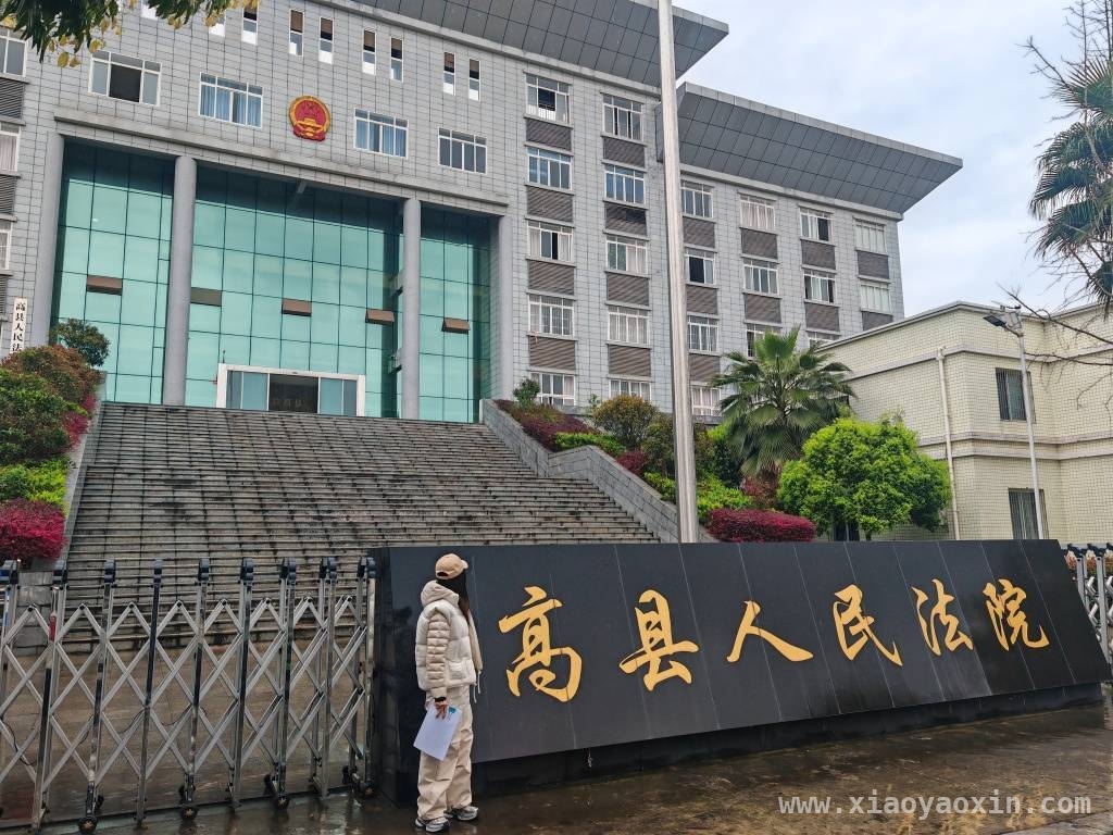 女子频遭名誉侵害，刑事与民事维权该如何抉择？，49岁女子自诉昔日合作伙伴诽谤，事件背后恩怨几何？