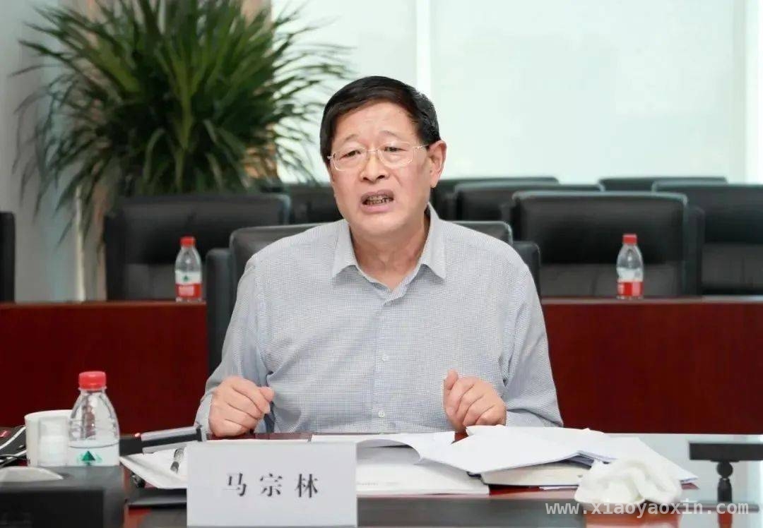 马宗林：昔日电建风云人物，如今接受纪律审查 中国电力建设集团原党委书记马宗林：从高管到审查对象