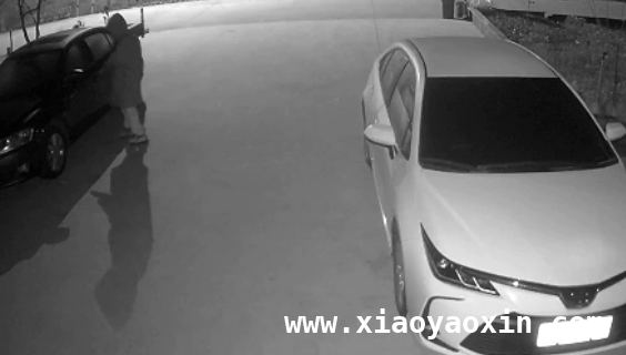 孙杨春锦赛400米自由泳获银，成绩提升达A标