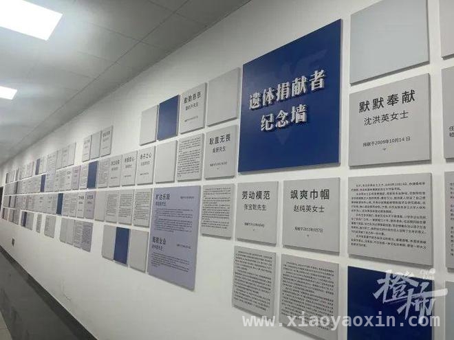 孙杨春锦赛400米自由泳获银，成绩提升达A标