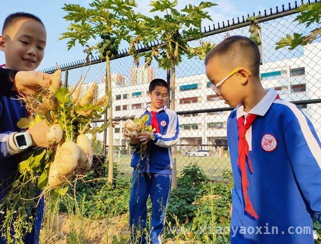 “圳彩园”：长圳社区生态保护与儿童教育的新典范