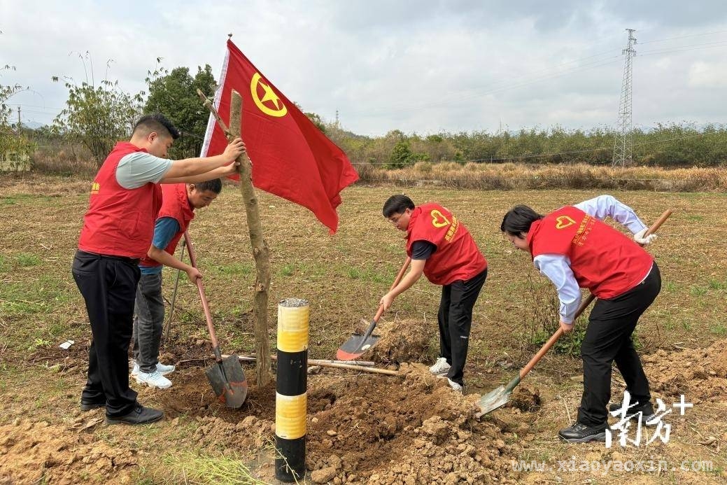 英德团市委携手青年，点亮乡村绿色希望，植树造林促振兴，英德青年在行动