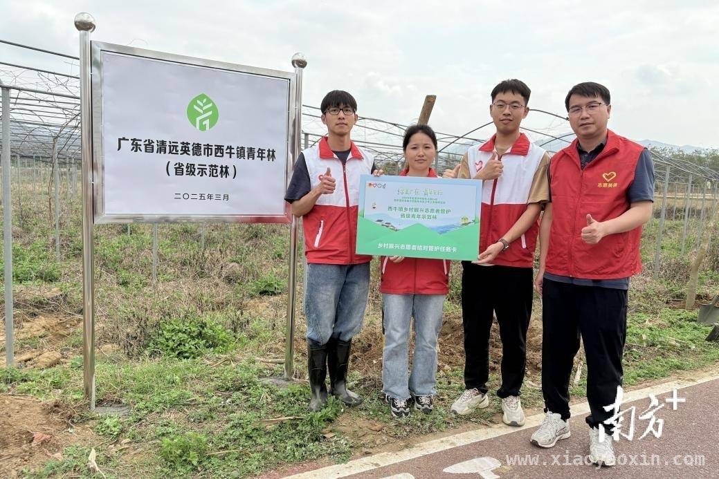 英德团市委携手青年，点亮乡村绿色希望，植树造林促振兴，英德青年在行动