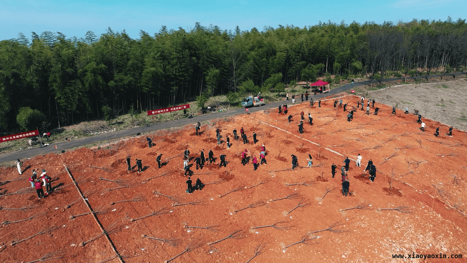 横山森林公园义务植树，广德绘就生态新画卷，广德植树活动激发市民生态热情，助力城市绿色发展