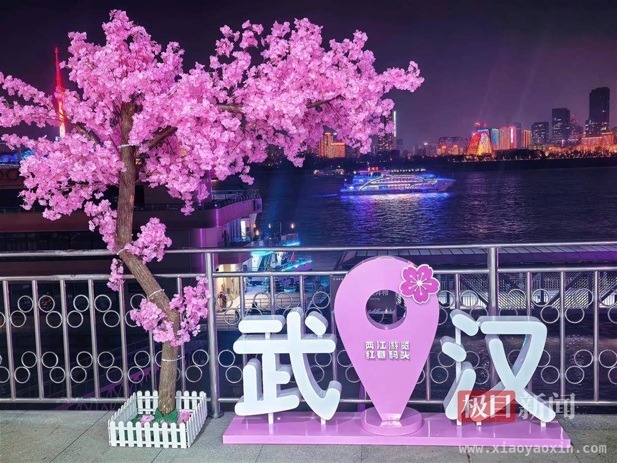 武汉两江：樱花下的奔跑、美食与文化之旅，春日浪漫：武汉“水陆”赏樱与美食盛宴等你来