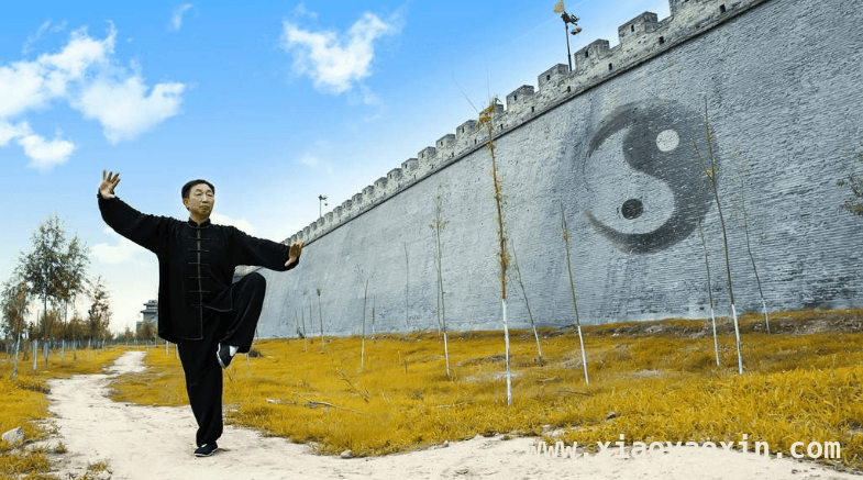 武式太极拳：融合多学的文化瑰宝传承之路