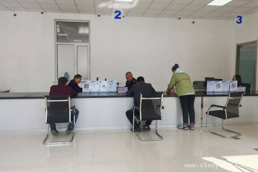 直击定兴“交通货运一件事”：高效办成的背后故事，定兴县“交通货运一件事”：高效变革引领货运办理新体验