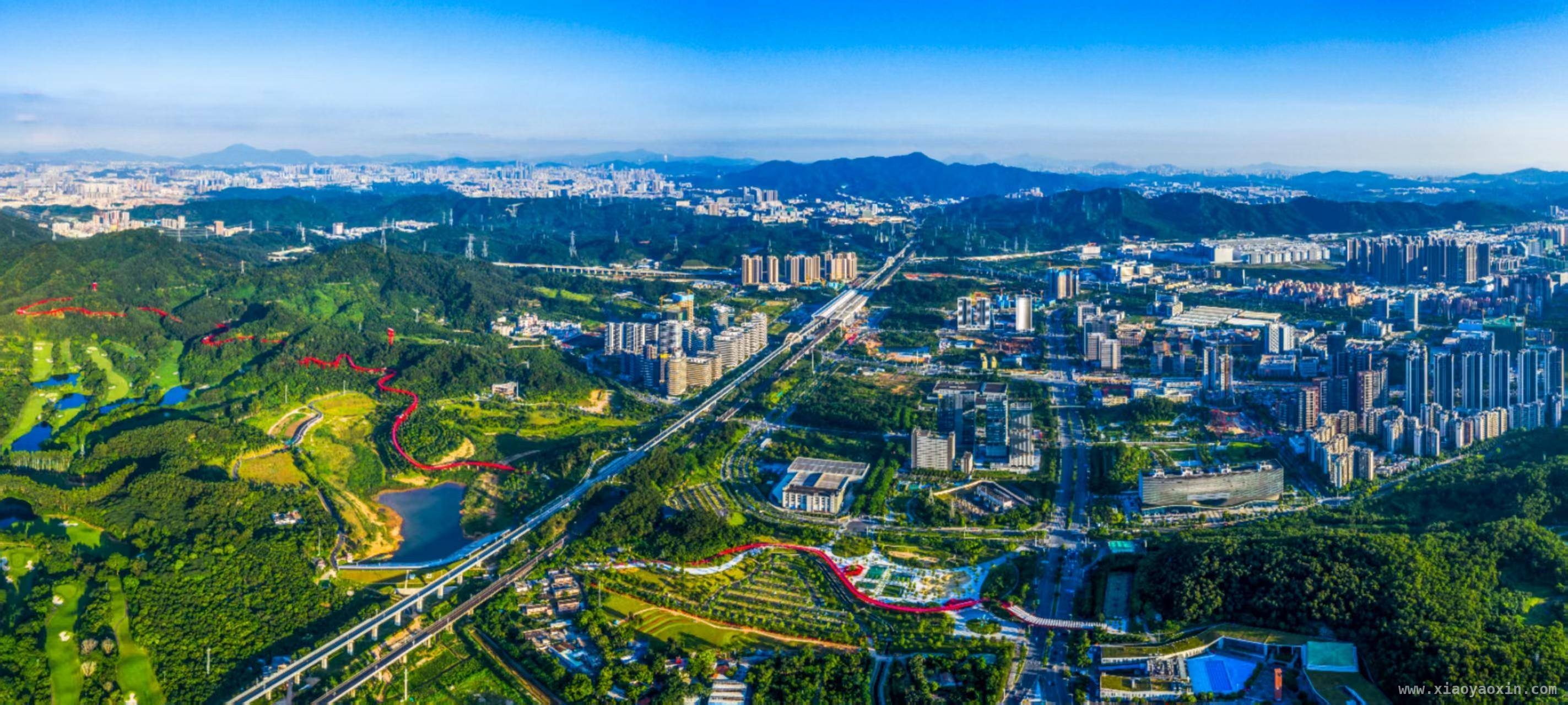 光明区发力人工智能，开启产业发展新征程，光明区：政策加持，打造人工智能先锋城区