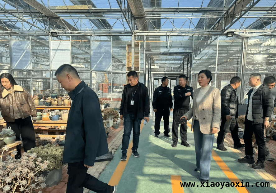 郸城“清风行动2025”：为野生动植物撑起安全保护伞