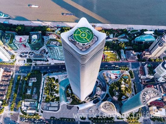 3月15日起条例护航，上海古树名木“明星”登场