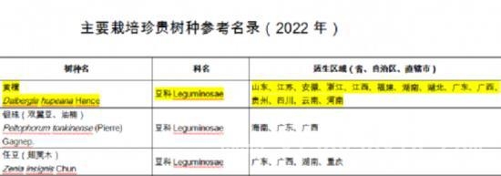3月15日起条例护航，上海古树名木“明星”登场