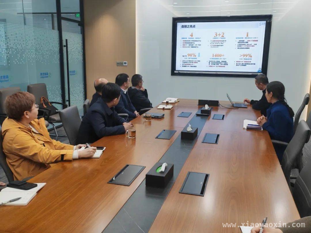 国投集团考察企业，助力民营经济高质量发展，国投集团深入企业考察，多元支持促产业升级