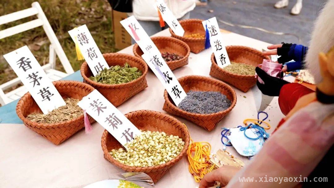 什邡南泉油菜花文化旅游节，点亮春日乡村新活力