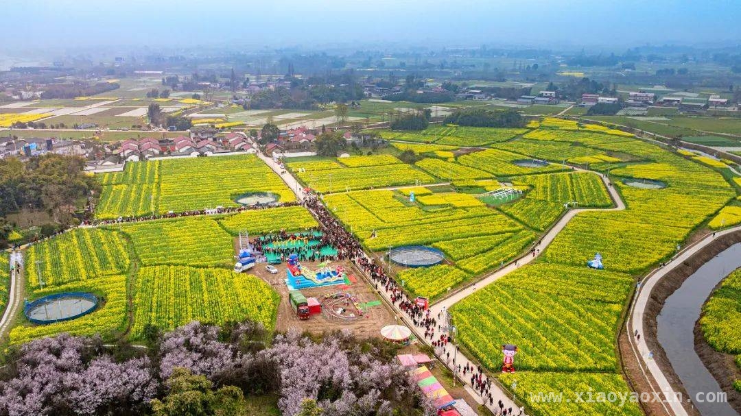 什邡南泉油菜花文化旅游节，点亮春日乡村新活力