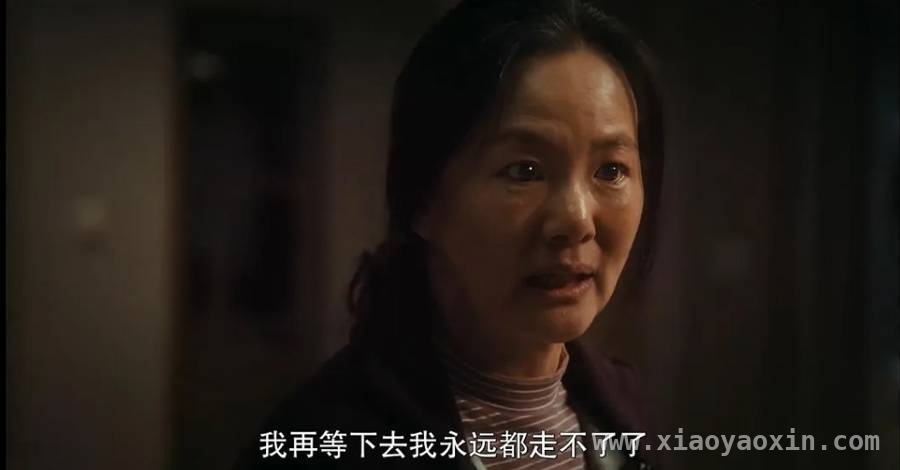 4. 影视中的女性叙事：撕掉标签，重构自我认知，3. 女性叙事：告别专属枷锁，开启多元篇章
