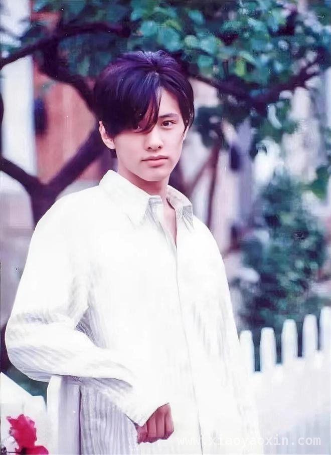 亚洲顶配美男子元斌，与金城武风格大不同！，元斌：从农村小子到韩流巨星的传奇之路
