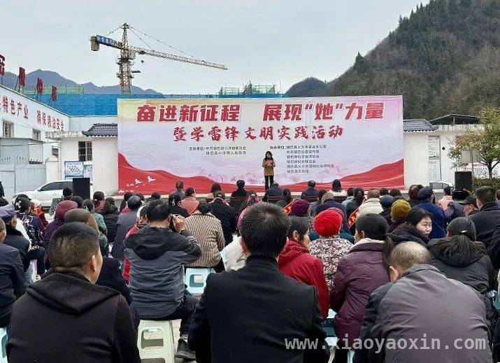 镇巴小洋镇活动：“她力量”为乡村振兴播撒雷锋种子，镇巴小洋镇活动：以“她力量”传承和弘扬雷锋精神