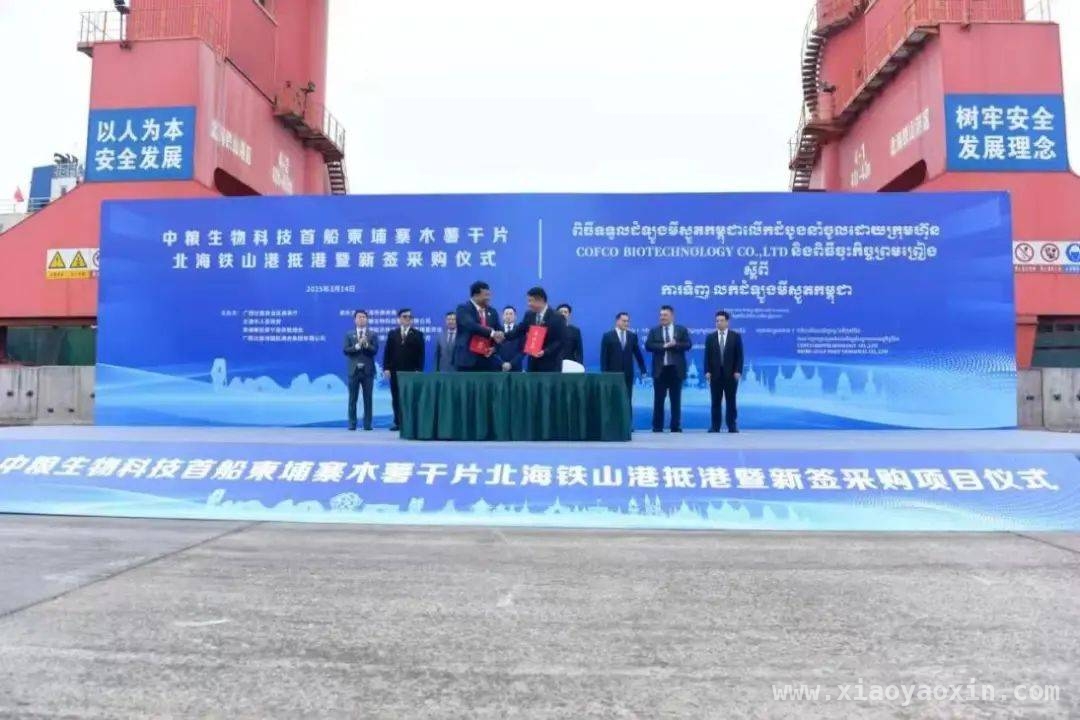 东南亚木薯：丰收背后的农民心酸，东南亚木薯产业：繁荣背后的危机与出路