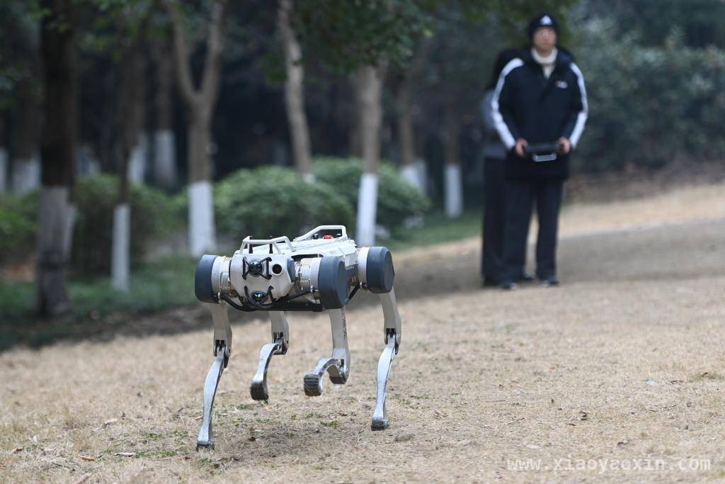 消费投资双改善，2025中国经济起步平稳向新