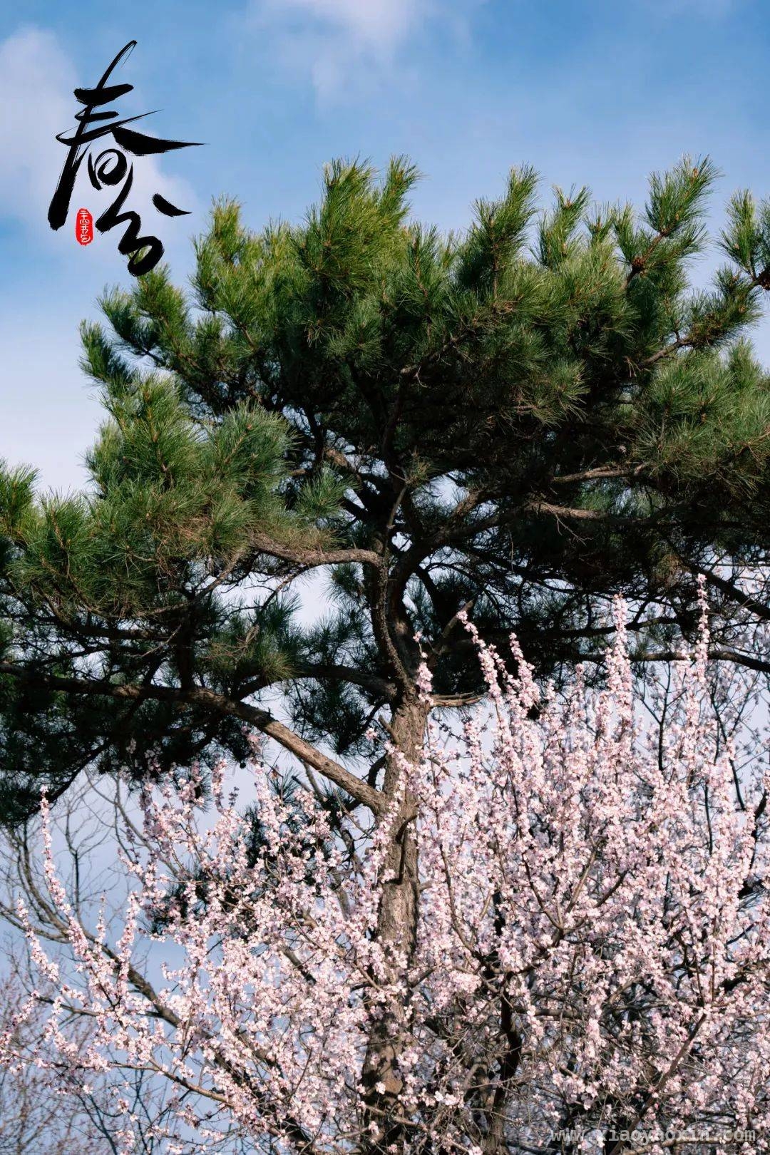 春分至，解锁春日独特密码