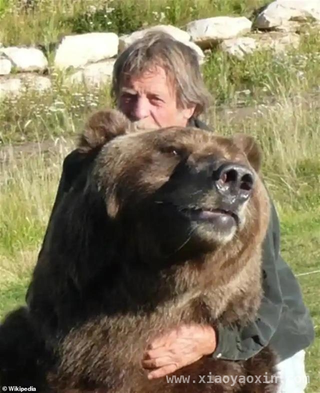 4125万的狼犬交易，看宠物富豪榜的“财富传奇”！，狼犬Okami高价出售，揭秘宠物界的富豪风云！