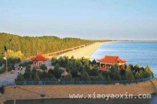民勤：沙漠中的绿色明珠，生态与美食的梦幻之境 民勤：生态奇迹背后的文化与美食传奇